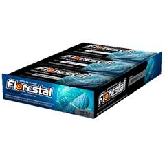 CHICLE LAMINADO HORTELÃ SEM AÇÚCAR FLORESTAL DISPLAY C/ 127G